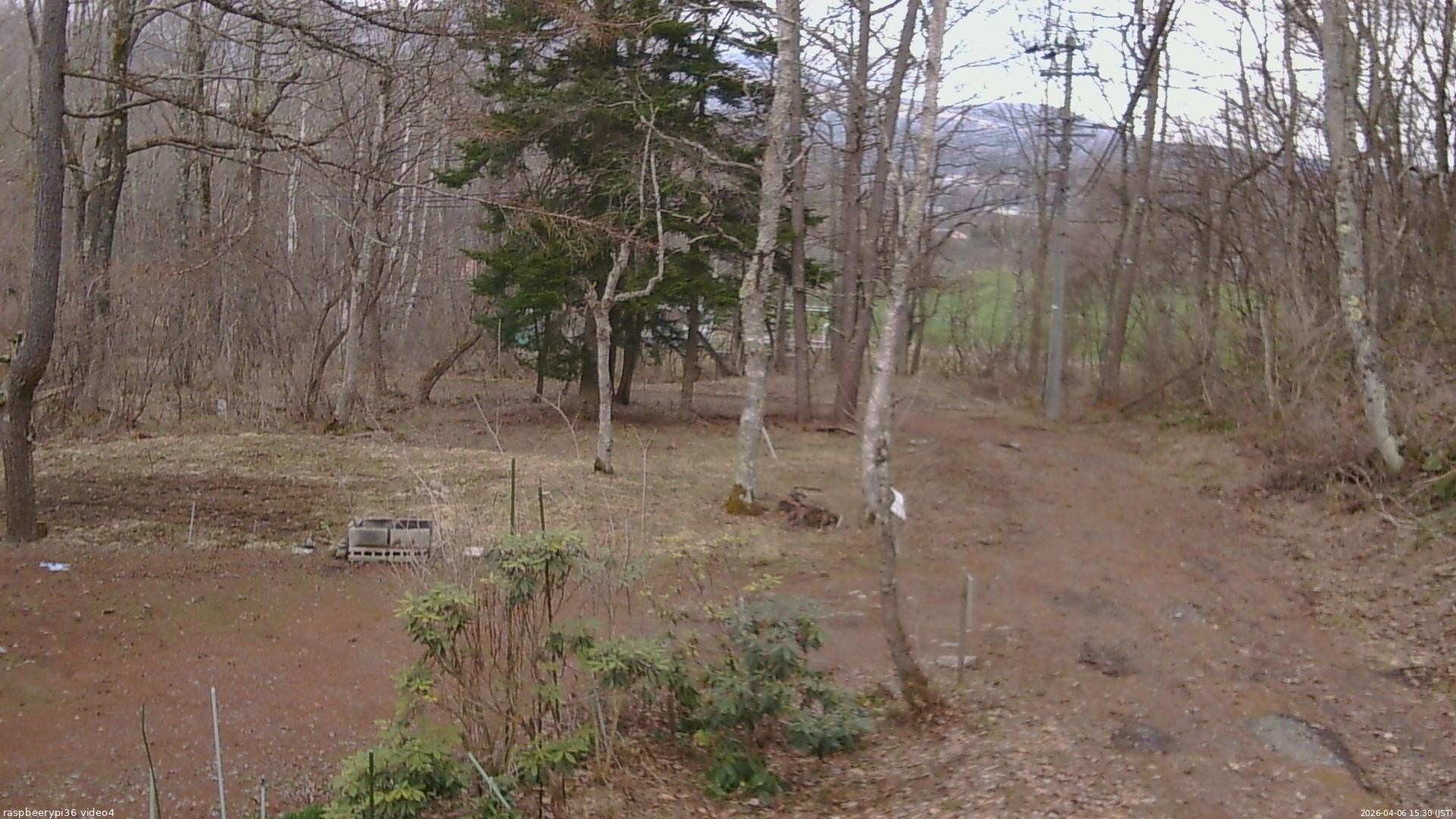 長野県菅平高原 ゆたか山荘 坂上 2026/04/06 15:30