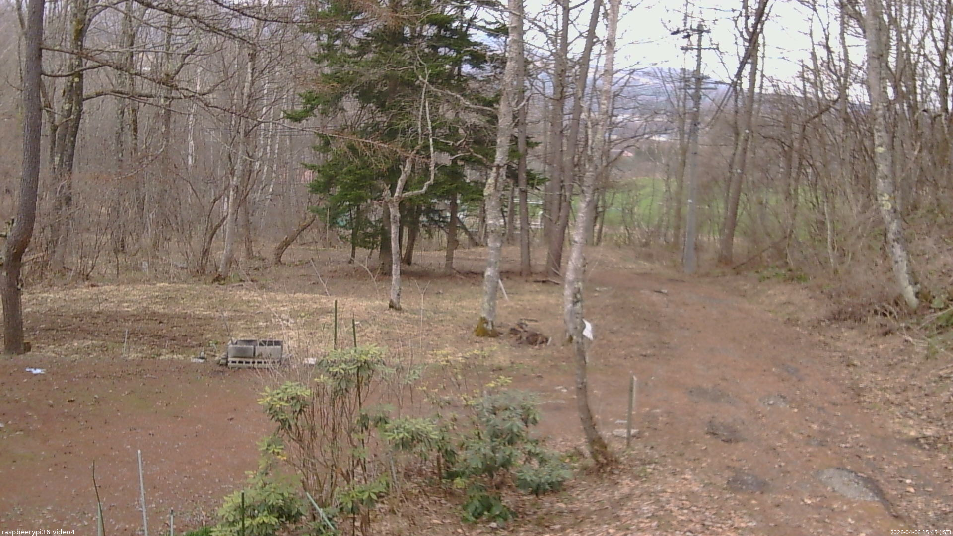 長野県菅平高原 ゆたか山荘 坂上 2026/04/06 15:45