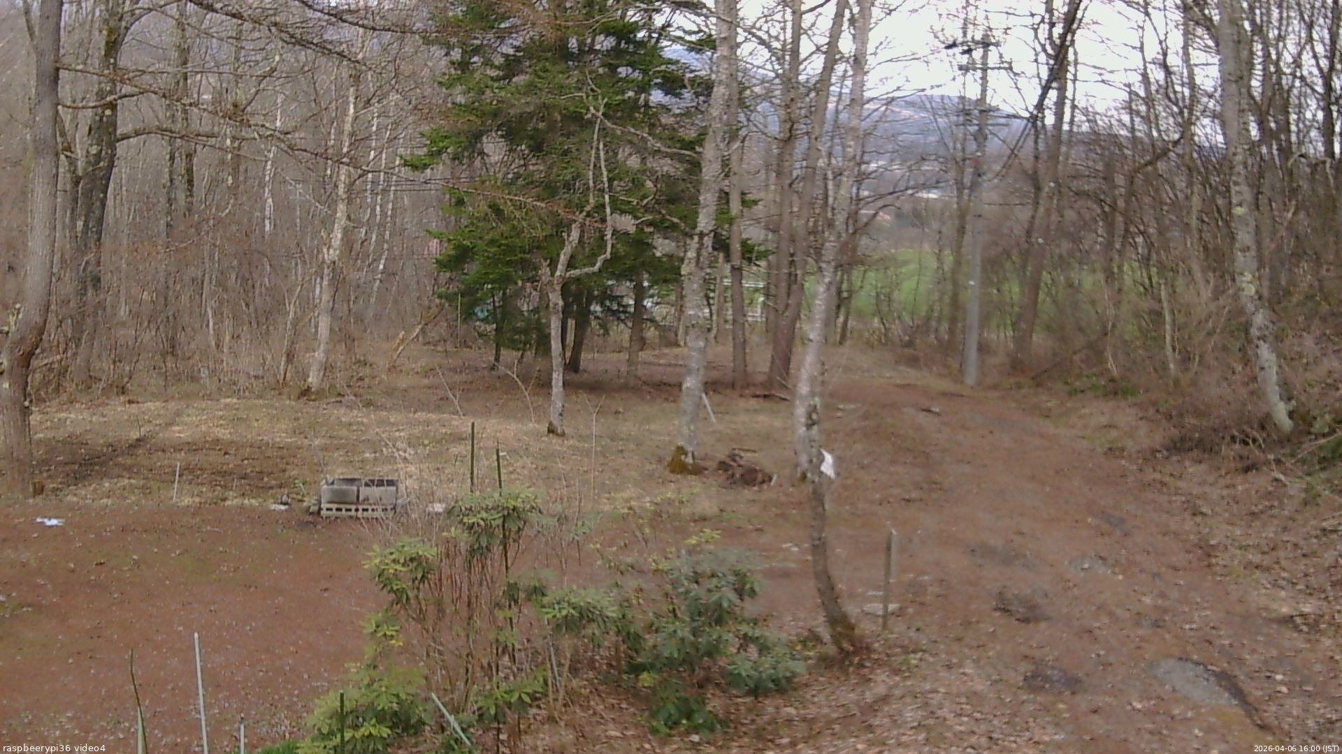 長野県菅平高原 ゆたか山荘 坂上 2026/04/06 16:00