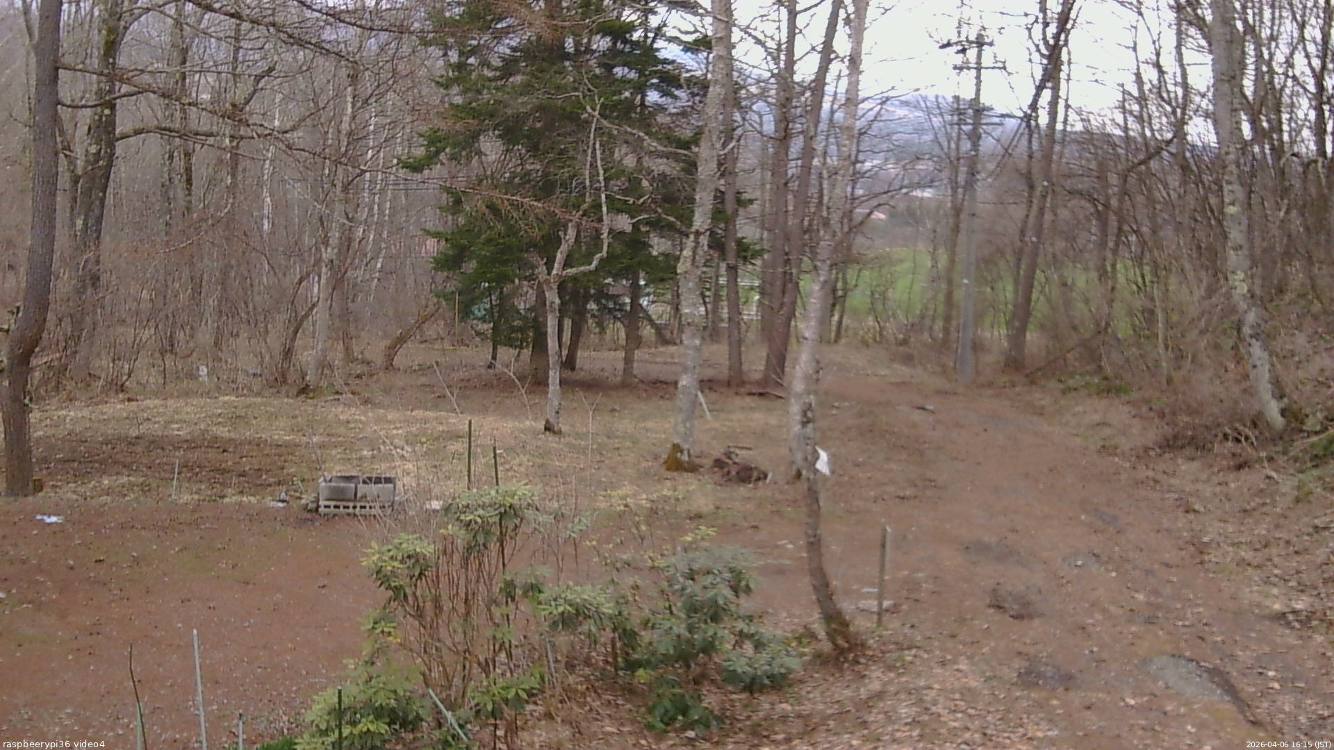 長野県菅平高原 ゆたか山荘 坂上 2026/04/06 16:15