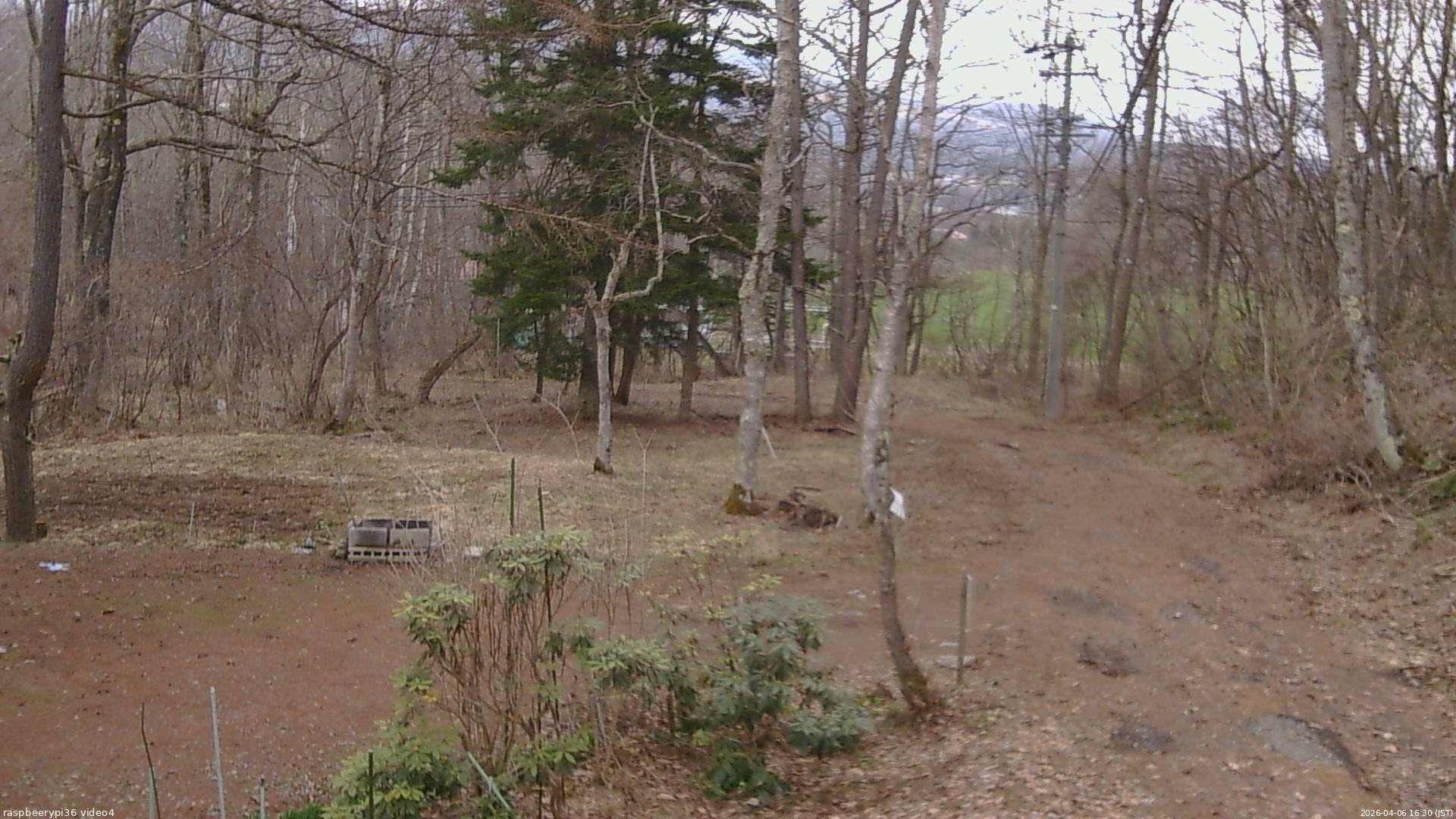 長野県菅平高原 ゆたか山荘 坂上 2026/04/06 16:30