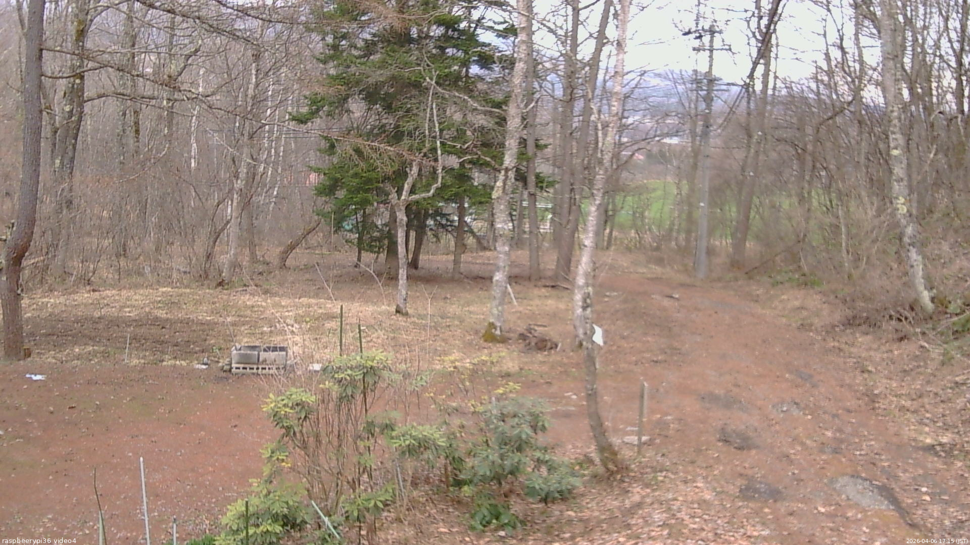 長野県菅平高原 ゆたか山荘 坂上 2026/04/06 17:15