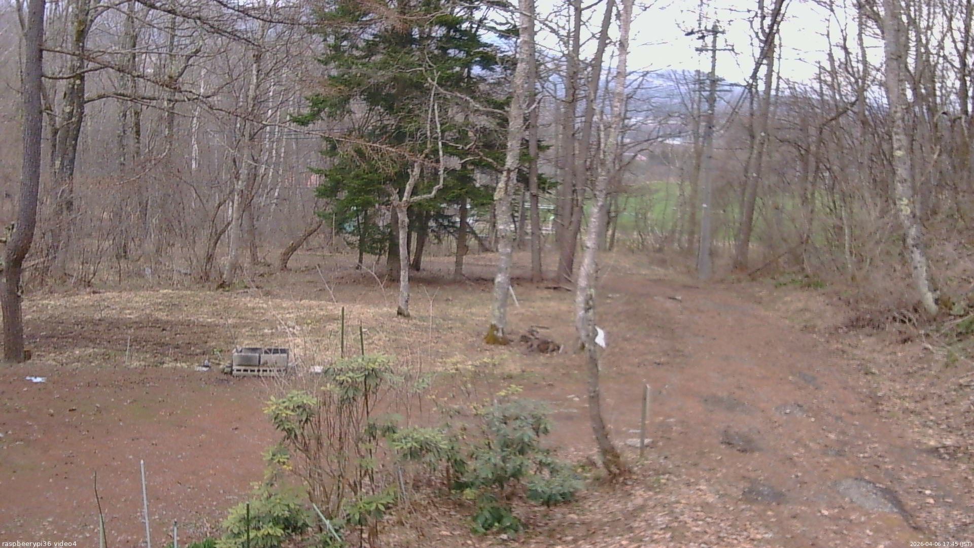 長野県菅平高原 ゆたか山荘 坂上 2026/04/06 17:45