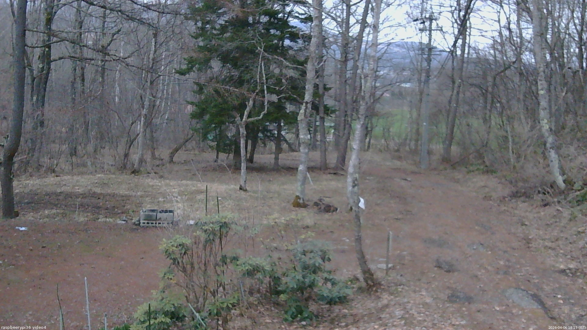 長野県菅平高原 ゆたか山荘 坂上 2026/04/06 18:15