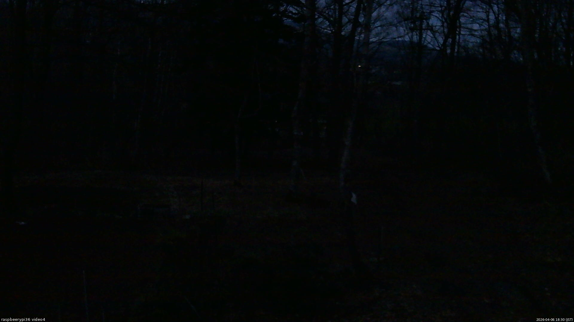 長野県菅平高原 ゆたか山荘 坂上 2026/04/06 18:30