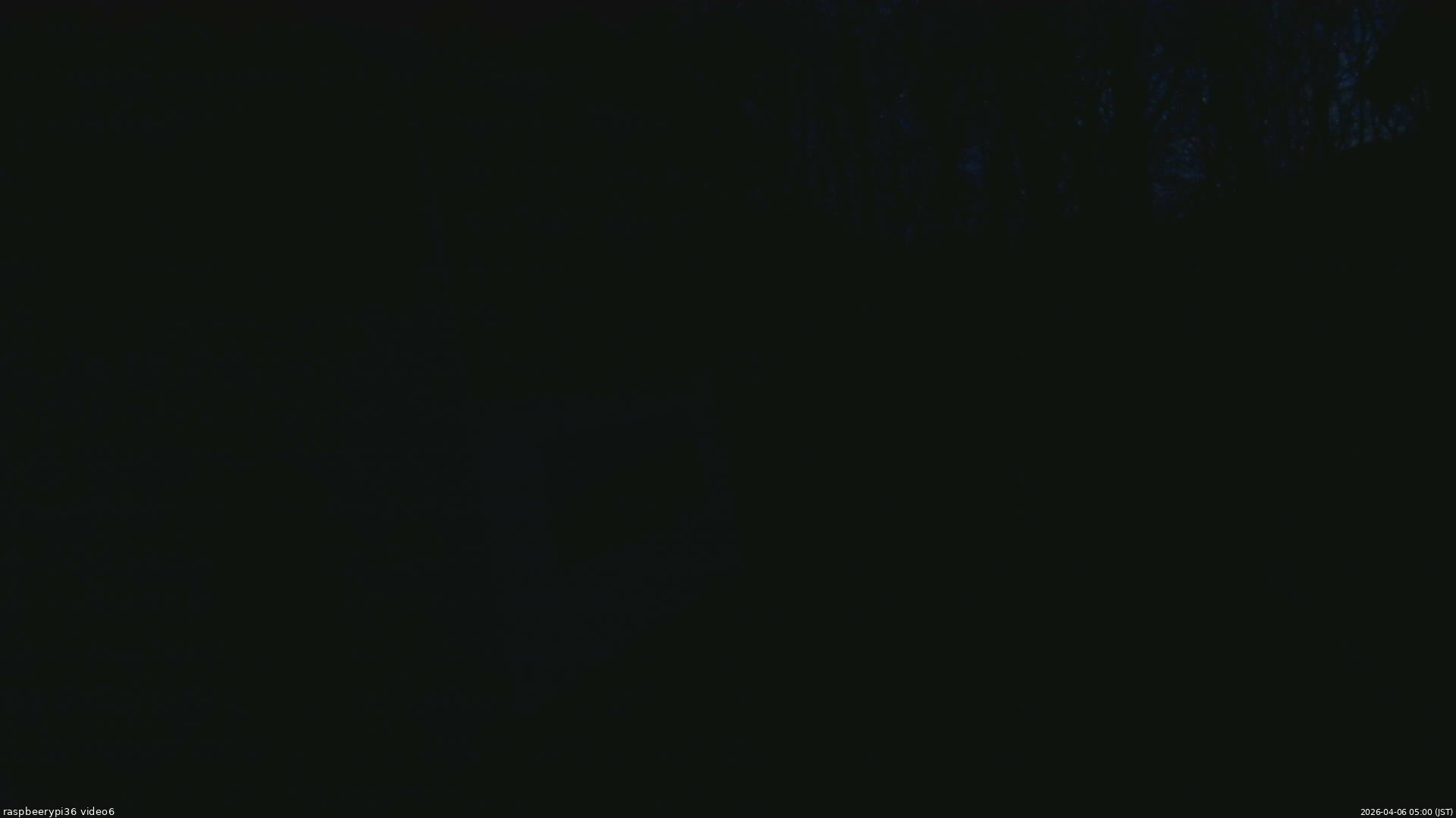 長野県菅平高原 ゆたか山荘 坂下 2026/04/06 05:00