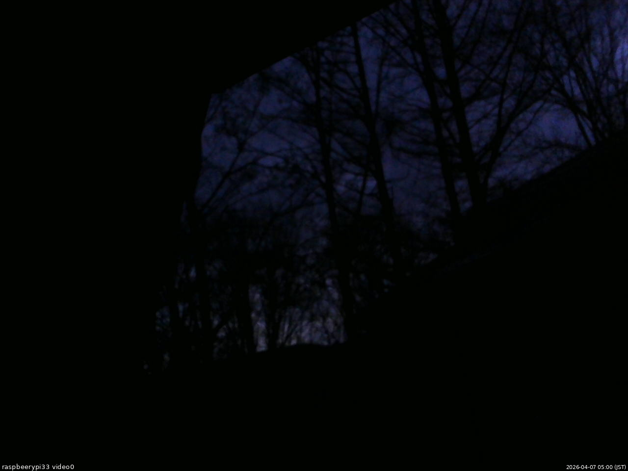 長野県菅平高原 ゆたか山荘 北側 2026/04/07 05:00