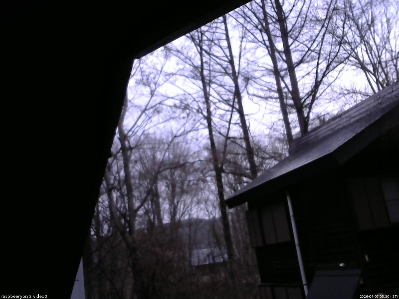 長野県菅平高原 ゆたか山荘 北側 2026/04/07 05:30