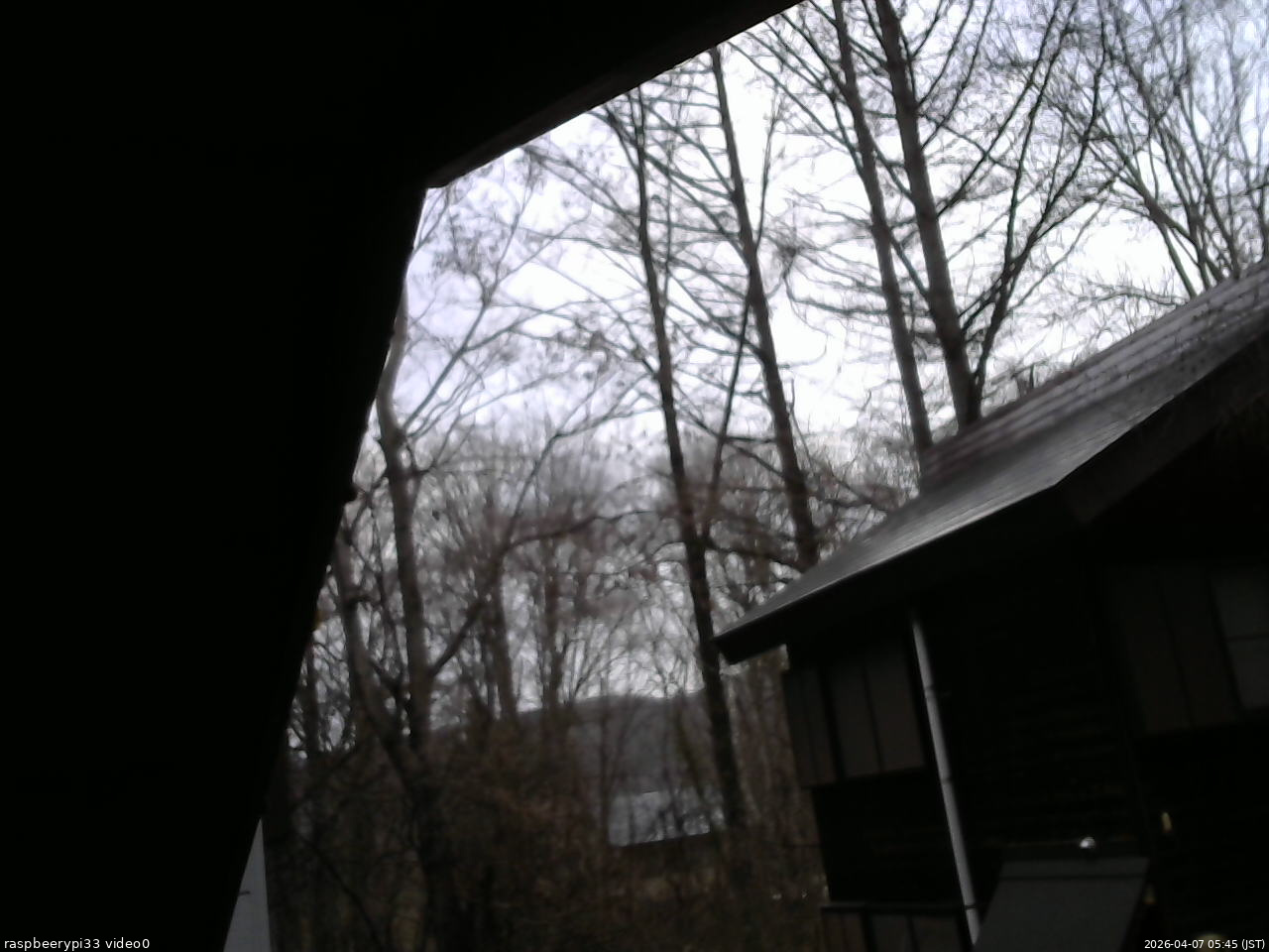 長野県菅平高原 ゆたか山荘 北側 2026/04/07 05:45