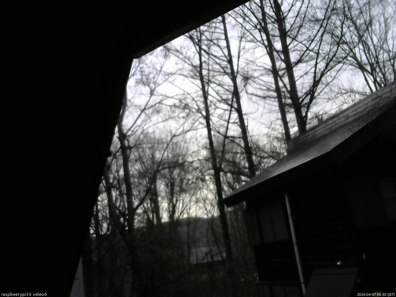 長野県菅平高原 ゆたか山荘 北側 2026/04/07 06:30