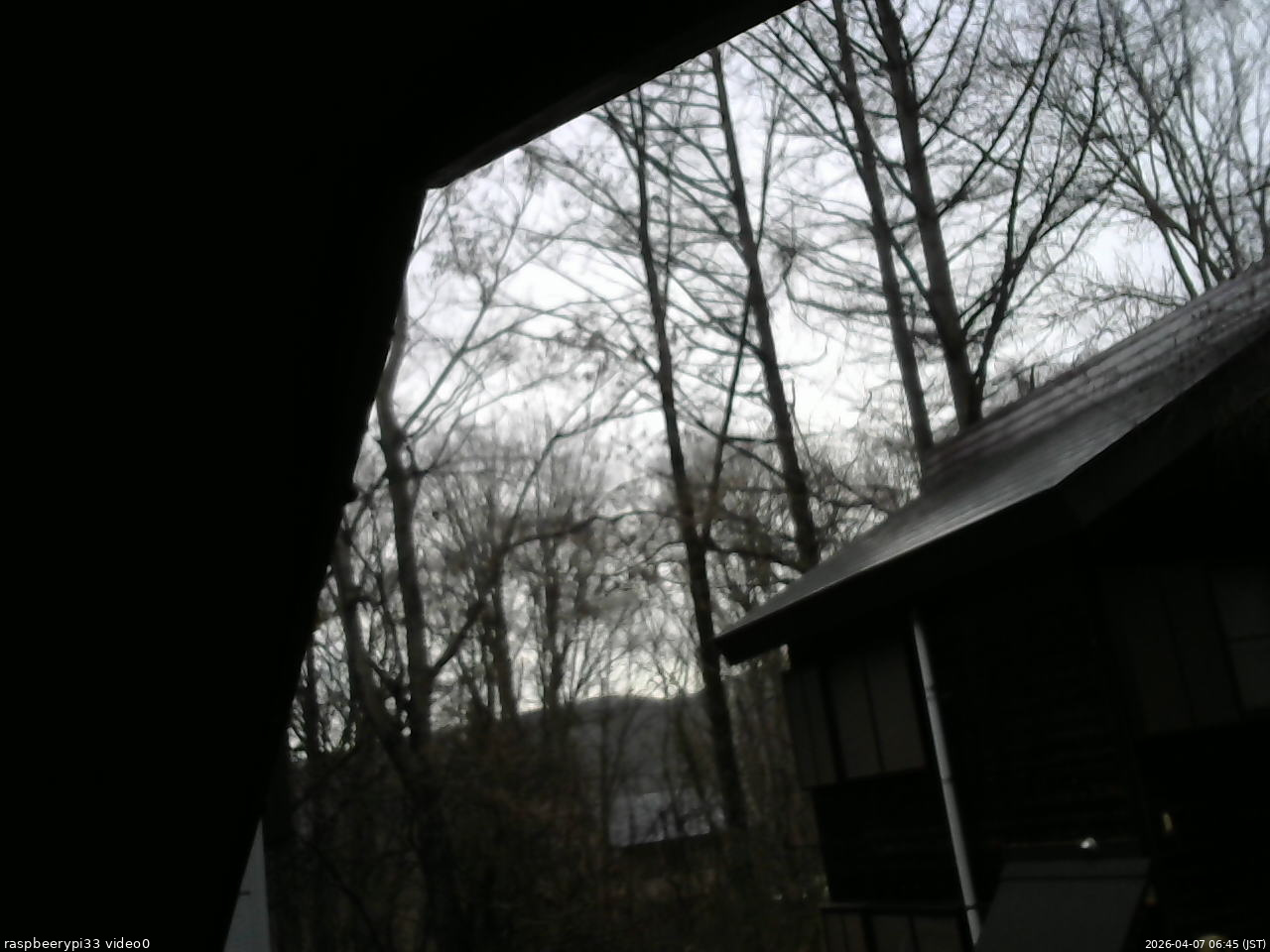 長野県菅平高原 ゆたか山荘 北側 2026/04/07 06:45