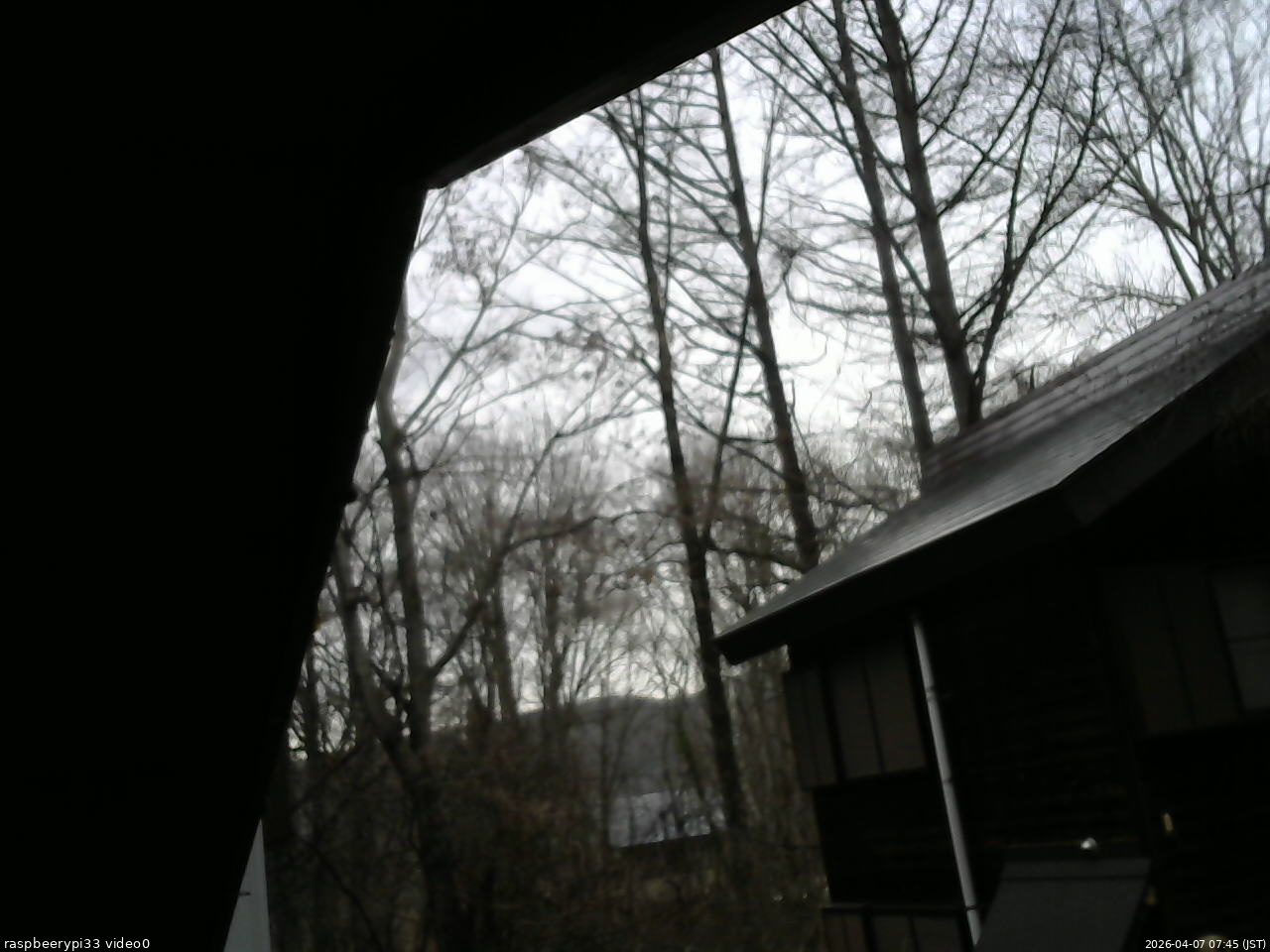 長野県菅平高原 ゆたか山荘 北側 2026/04/07 07:45