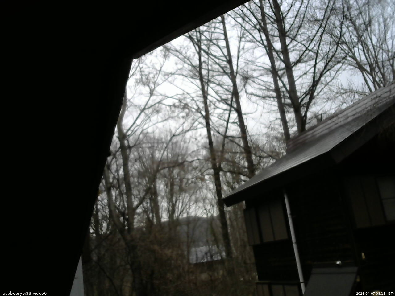 長野県菅平高原 ゆたか山荘 北側 2026/04/07 08:15