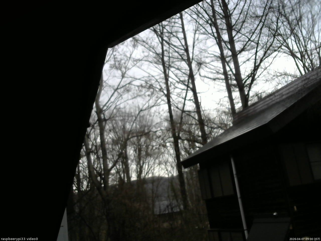 長野県菅平高原 ゆたか山荘 北側 2026/04/07 09:00