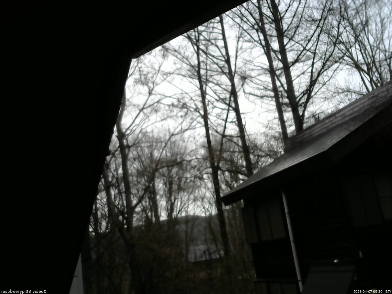 長野県菅平高原 ゆたか山荘 北側 2026/04/07 09:30