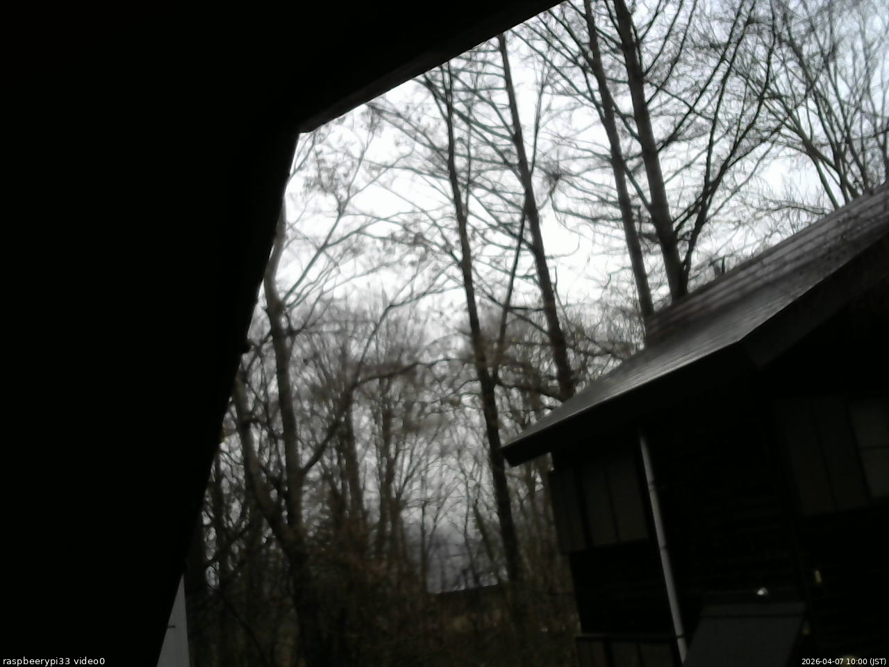 長野県菅平高原 ゆたか山荘 北側 2026/04/07 10:00