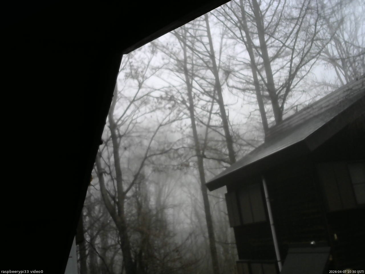 長野県菅平高原 ゆたか山荘 北側 2026/04/07 10:30