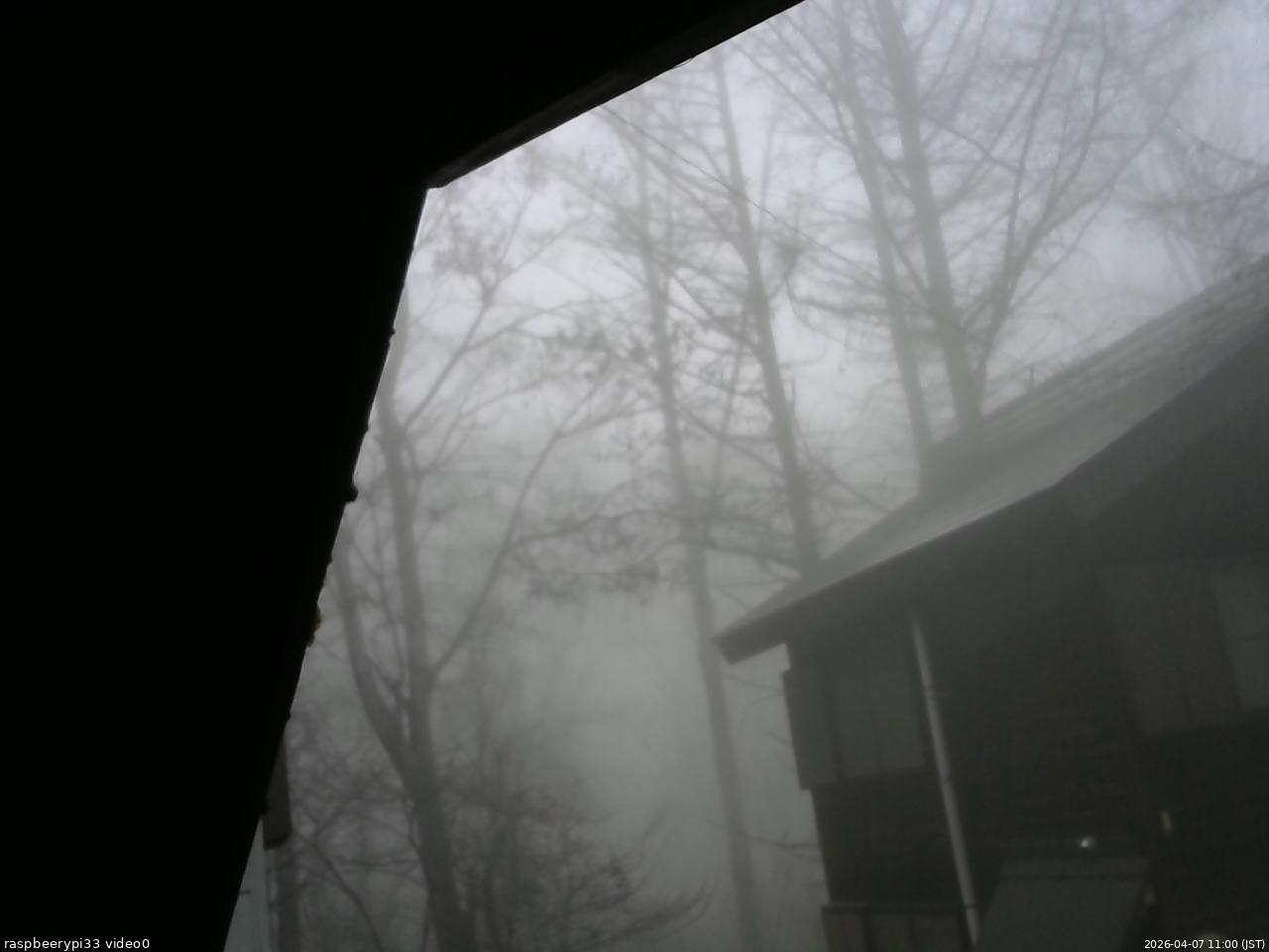 長野県菅平高原 ゆたか山荘 北側 2026/04/07 11:00