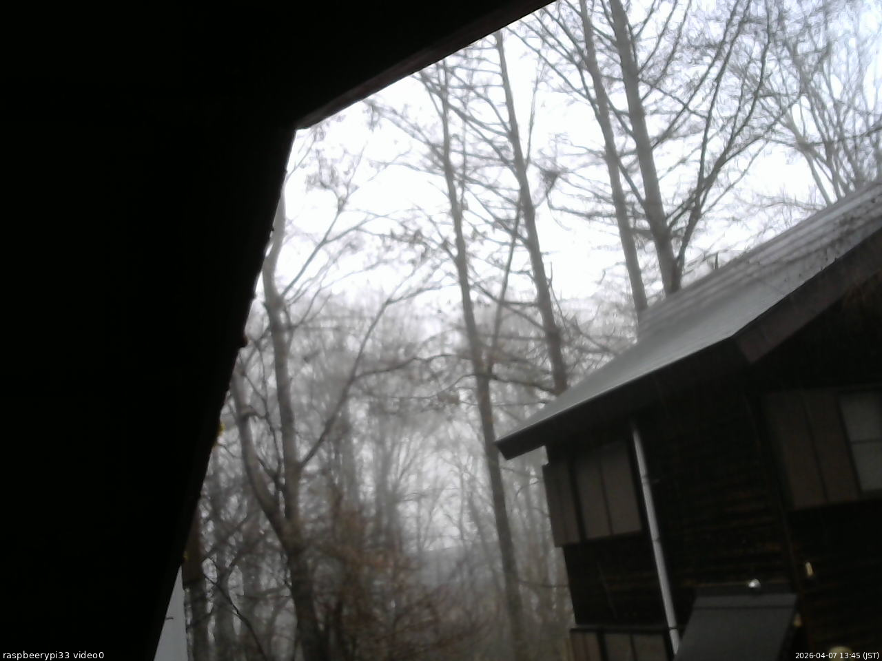 長野県菅平高原 ゆたか山荘 北側 2026/04/07 13:45