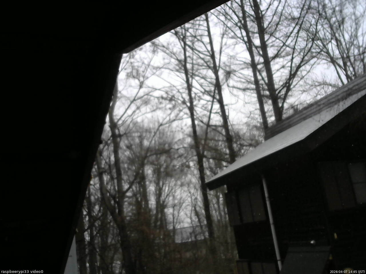 長野県菅平高原 ゆたか山荘 北側 2026/04/07 14:45