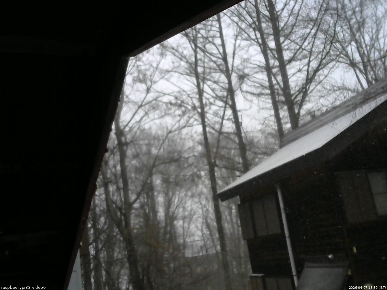 長野県菅平高原 ゆたか山荘 北側 2026/04/07 15:30