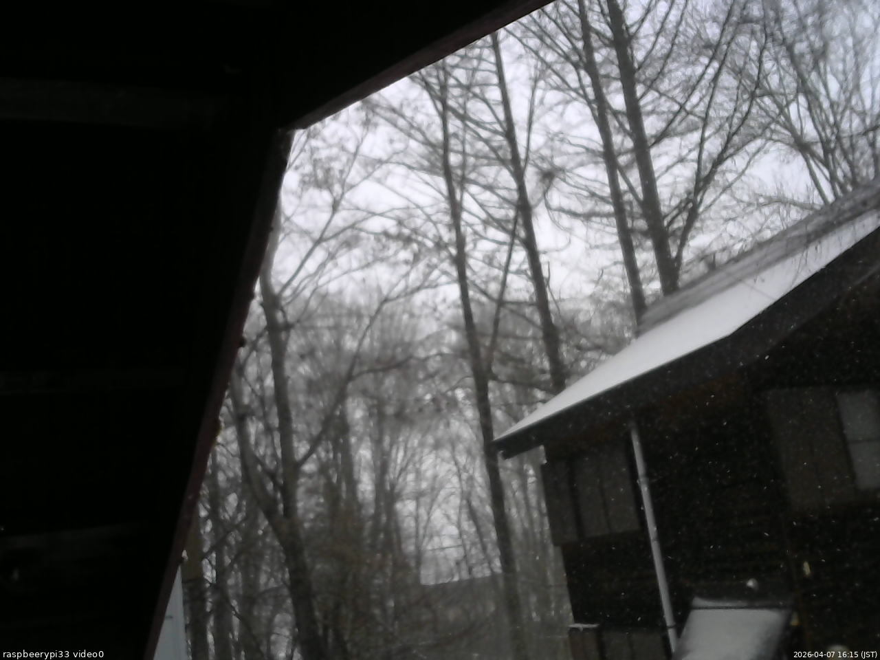 長野県菅平高原 ゆたか山荘 北側 2026/04/07 16:15