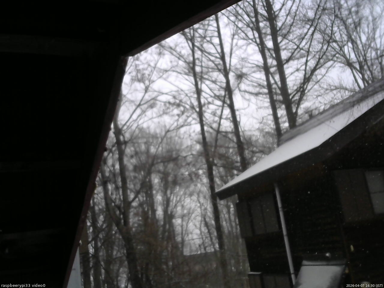 長野県菅平高原 ゆたか山荘 北側 2026/04/07 16:30