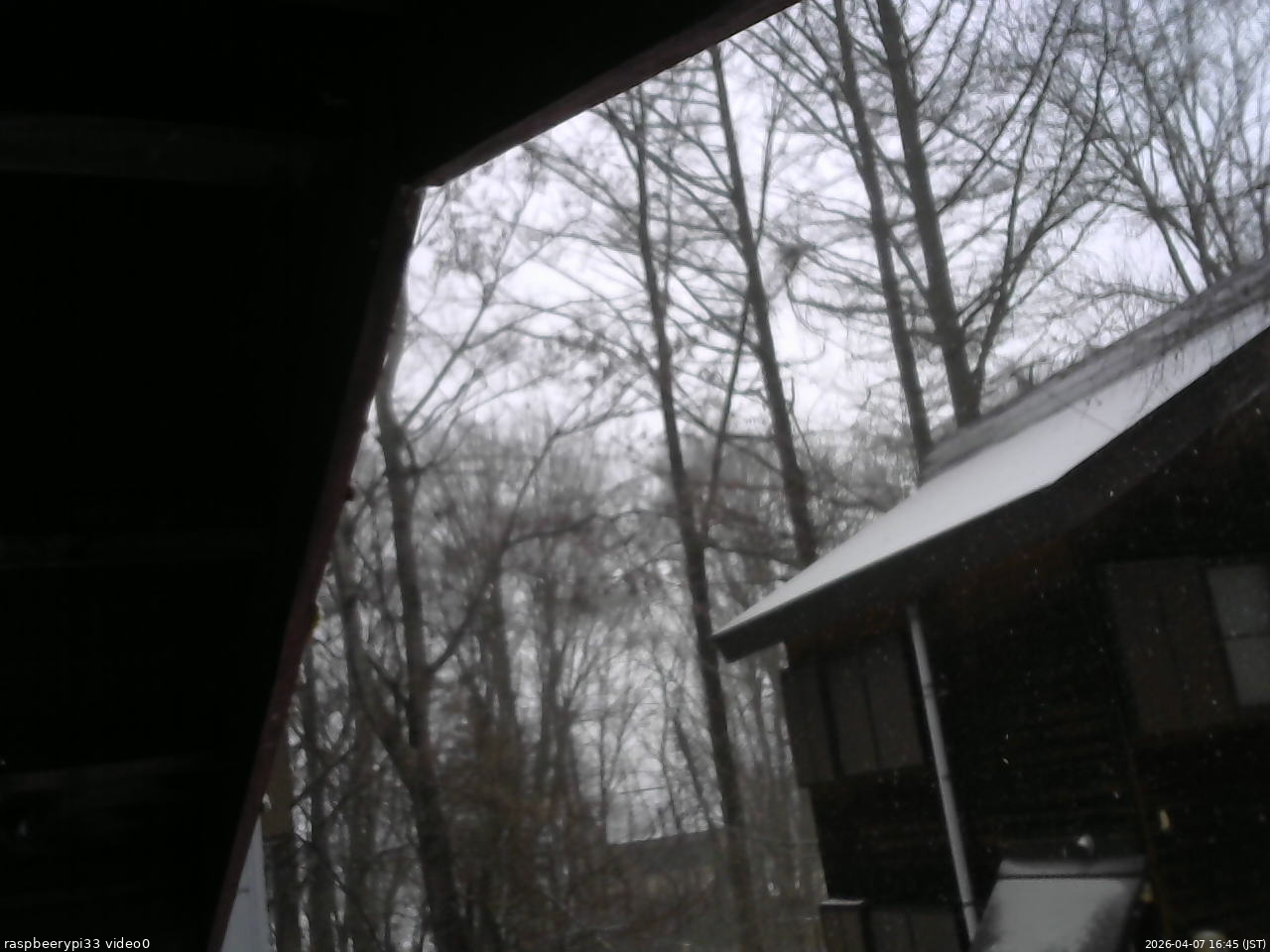 長野県菅平高原 ゆたか山荘 北側 2026/04/07 16:45