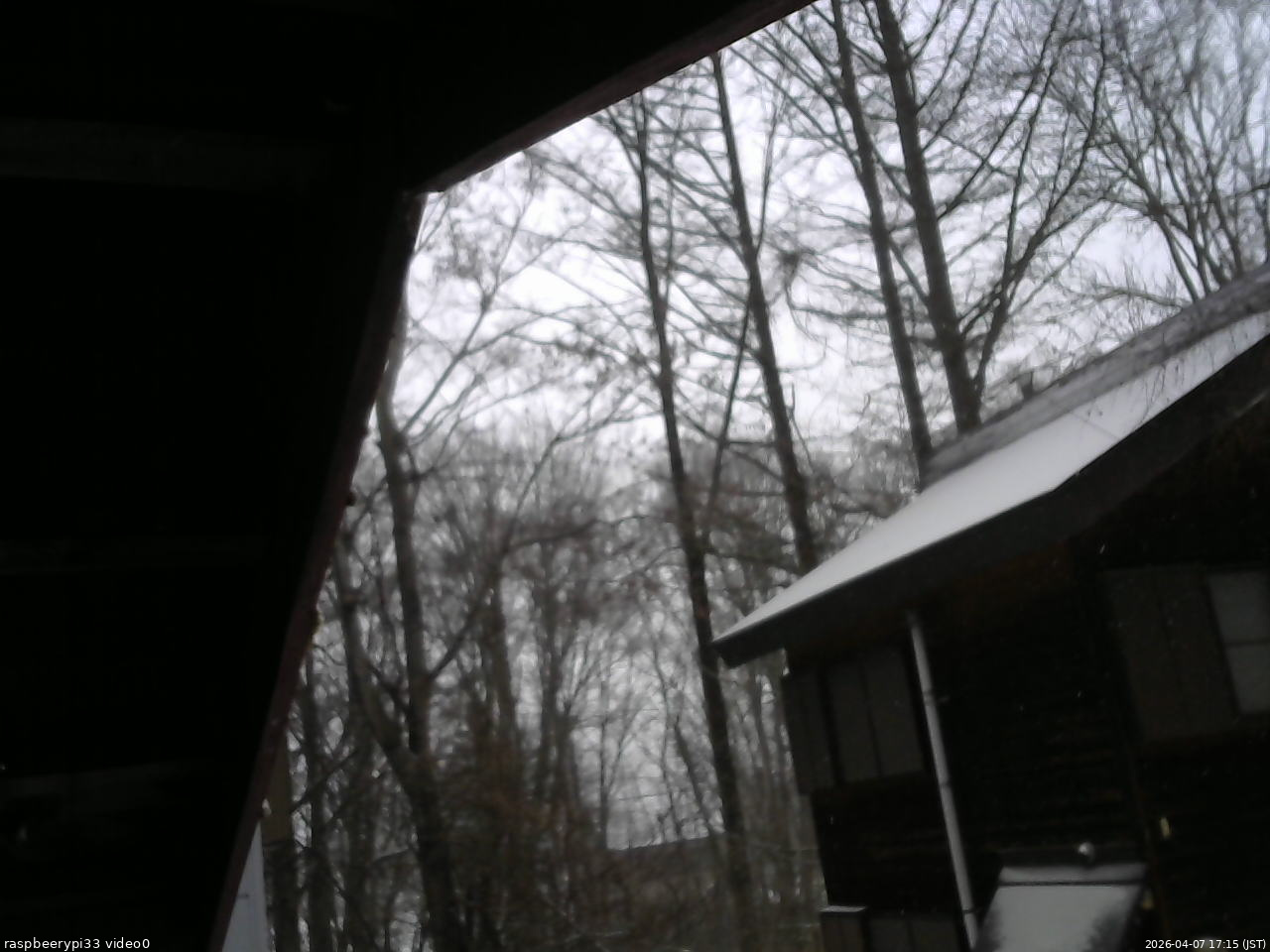 長野県菅平高原 ゆたか山荘 北側 2026/04/07 17:15