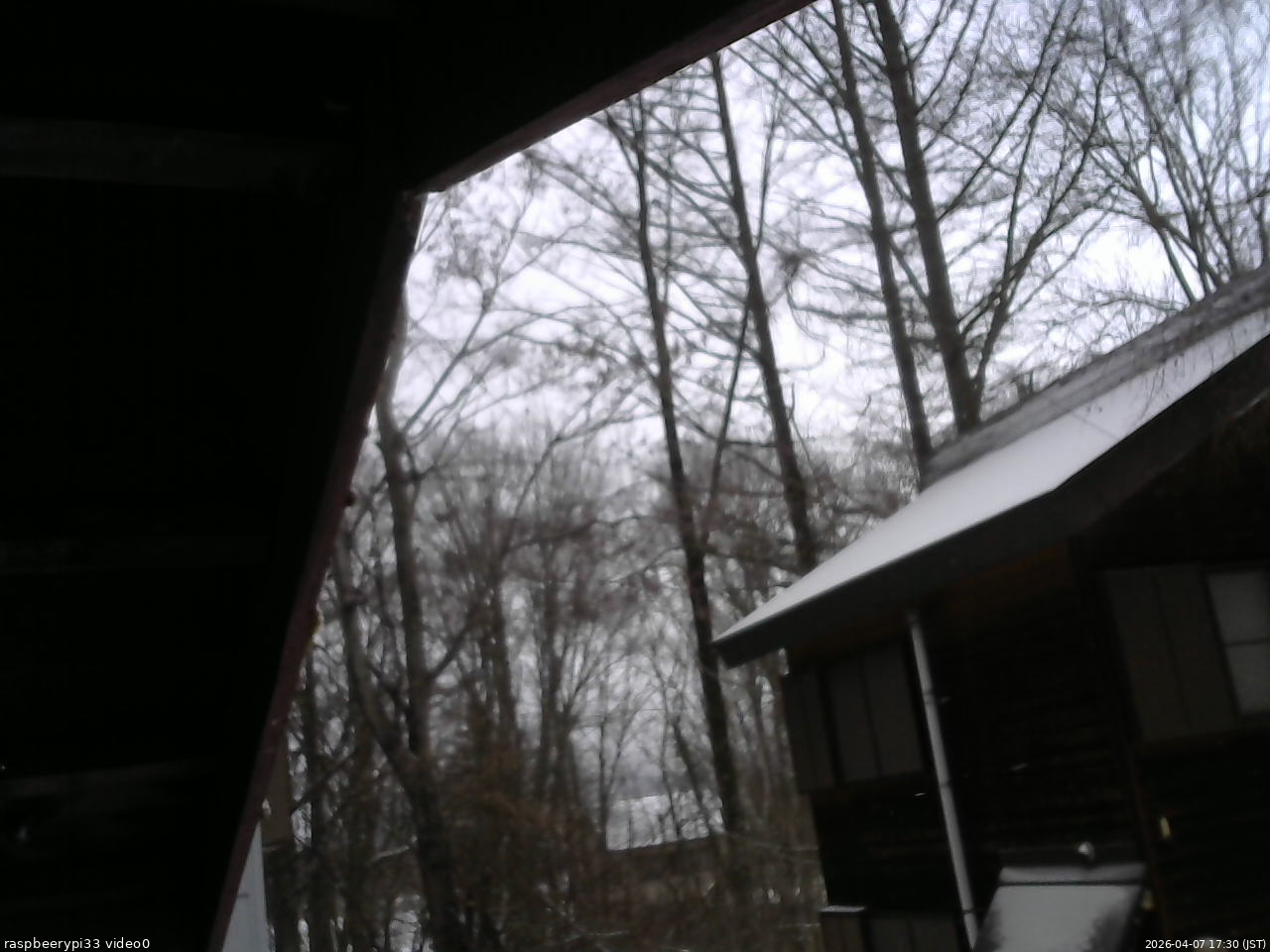 長野県菅平高原 ゆたか山荘 北側 2026/04/07 17:30