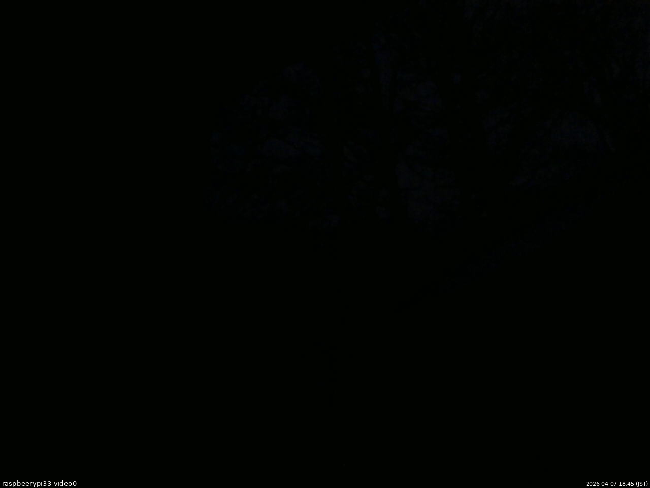 長野県菅平高原 ゆたか山荘 北側 2026/04/07 18:45