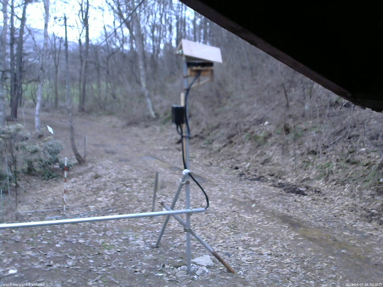 長野県菅平高原 ゆたか山荘 南側 2026/04/07 05:30
