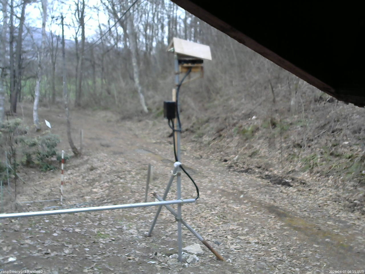 長野県菅平高原 ゆたか山荘 南側 2026/04/07 06:15