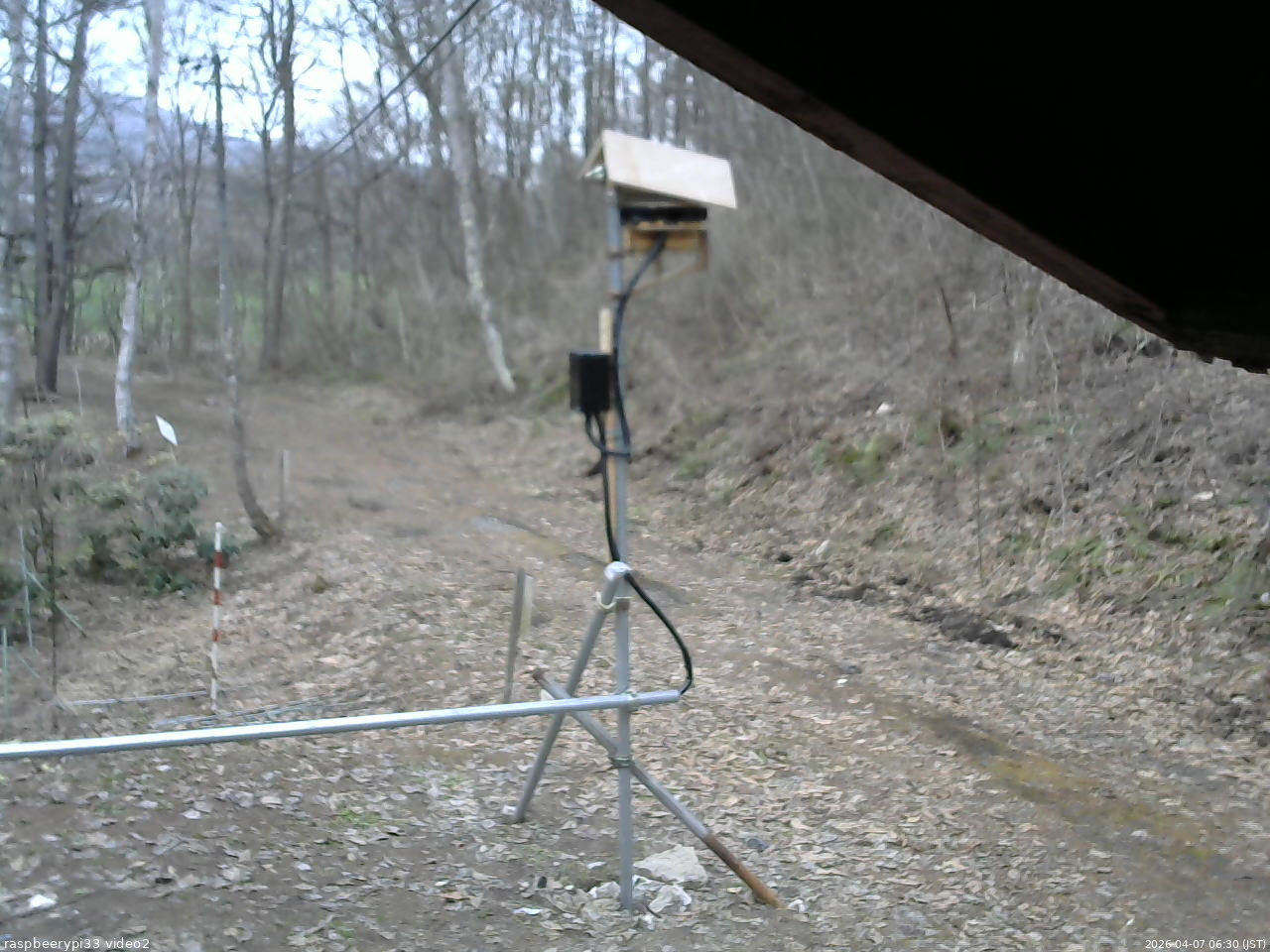 長野県菅平高原 ゆたか山荘 南側 2026/04/07 06:30