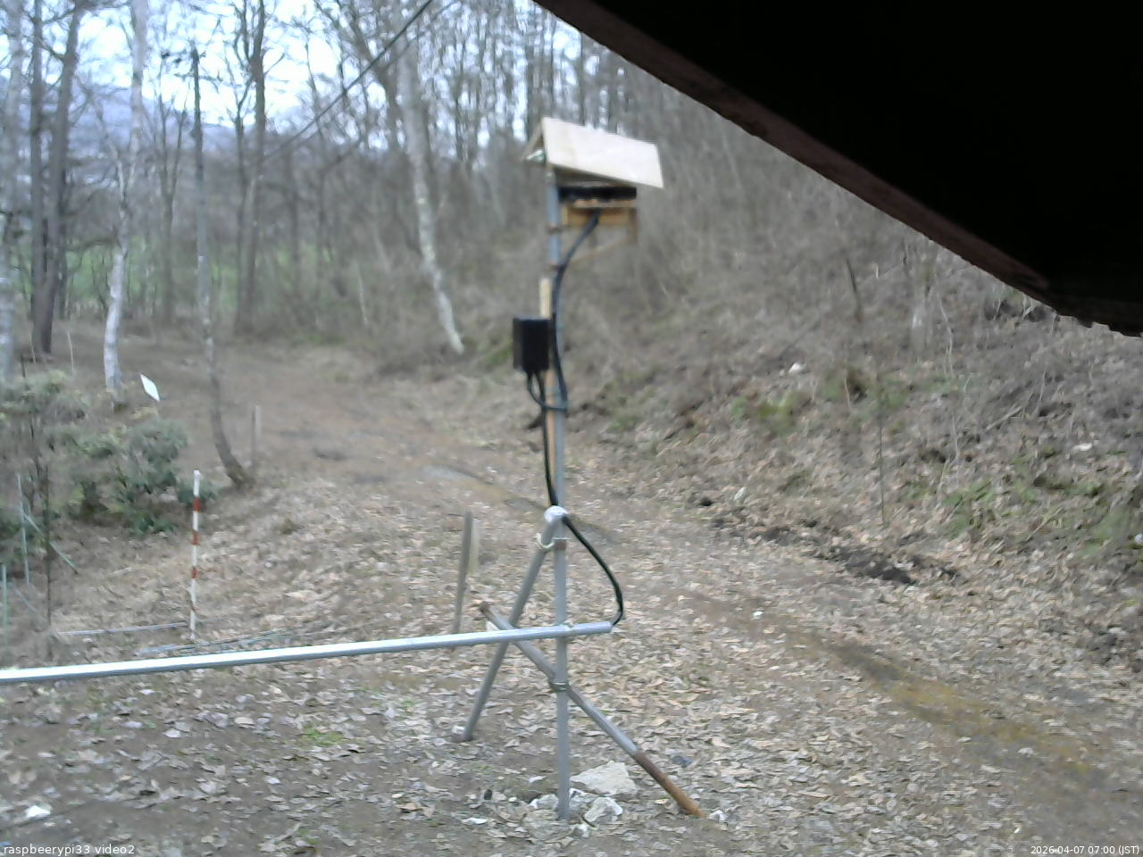 長野県菅平高原 ゆたか山荘 南側 2026/04/07 07:00