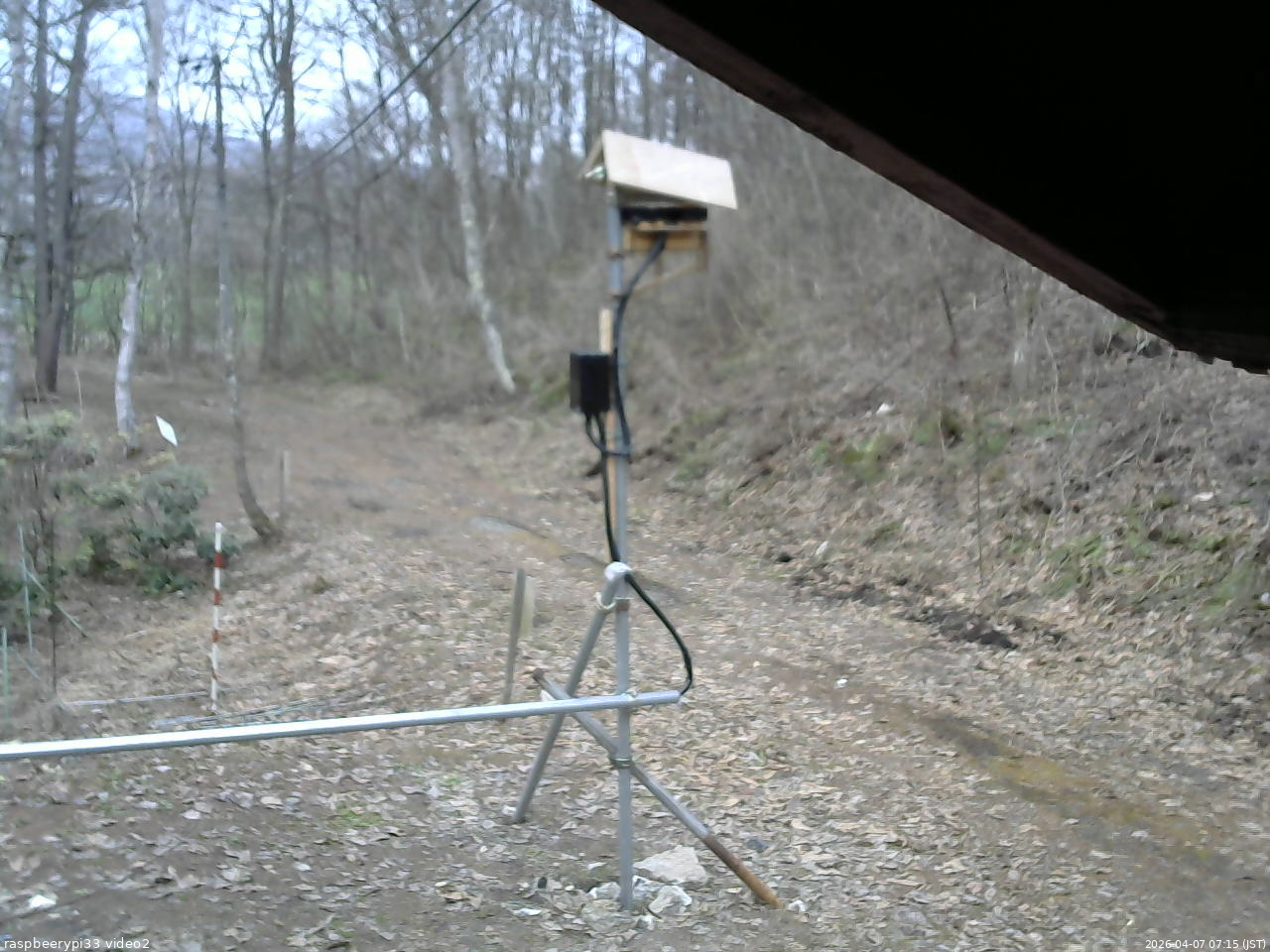 長野県菅平高原 ゆたか山荘 南側 2026/04/07 07:15