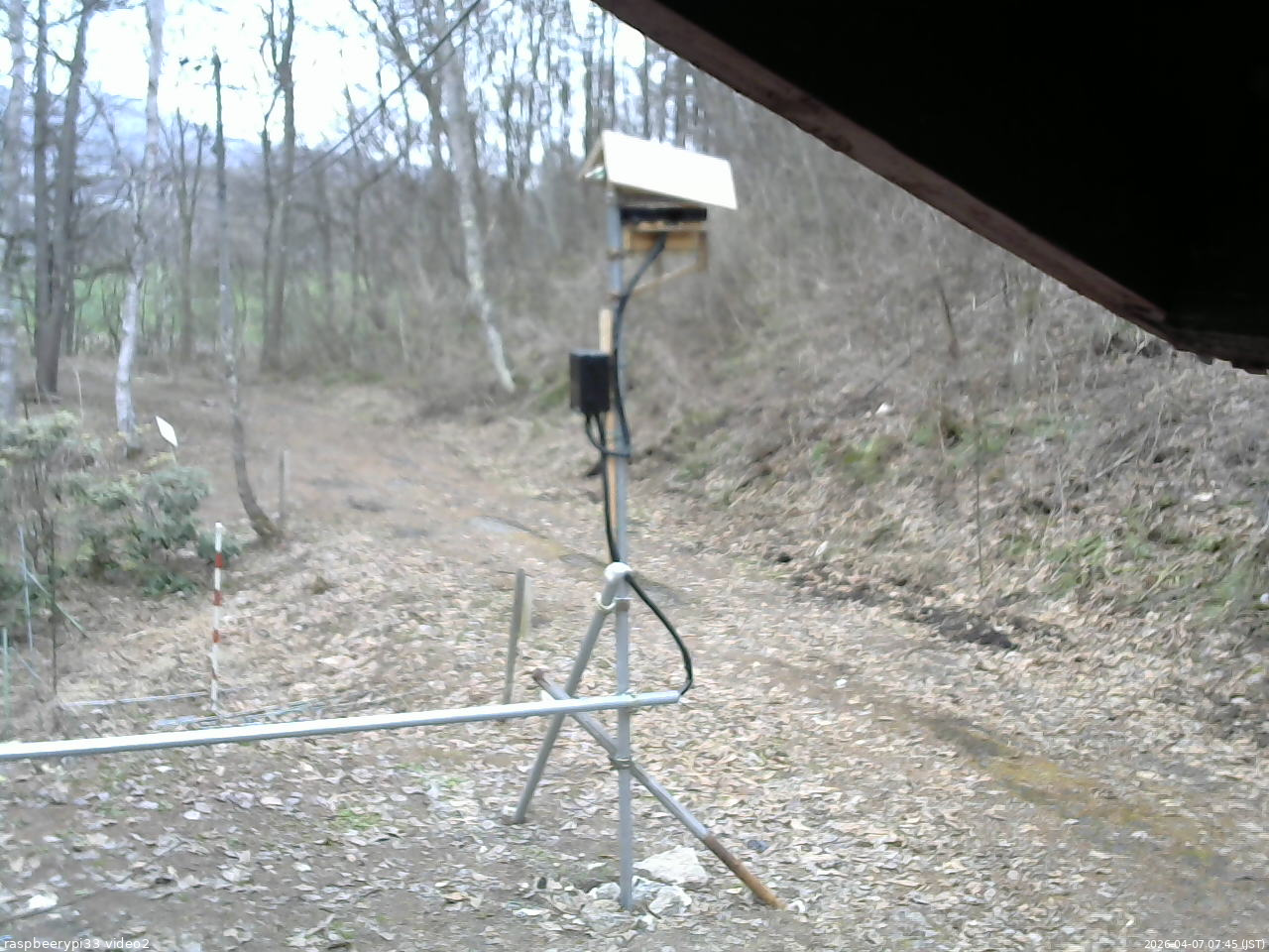 長野県菅平高原 ゆたか山荘 南側 2026/04/07 07:45