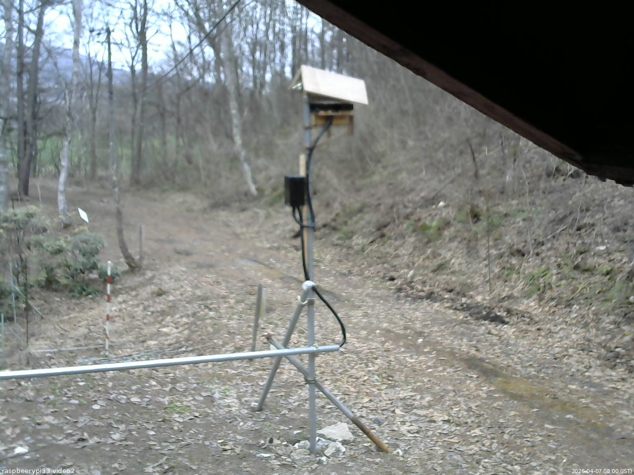 長野県菅平高原 ゆたか山荘 南側 2026/04/07 08:00