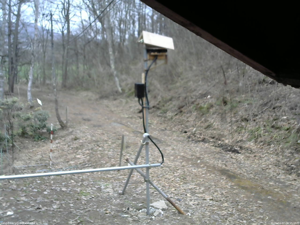長野県菅平高原 ゆたか山荘 南側 2026/04/07 08:15