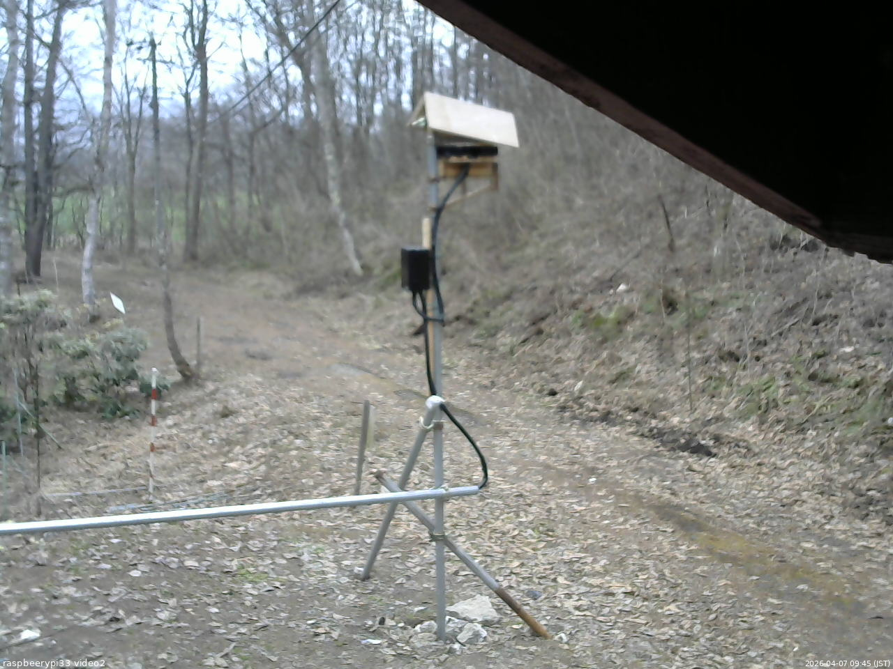 長野県菅平高原 ゆたか山荘 南側 2026/04/07 09:45