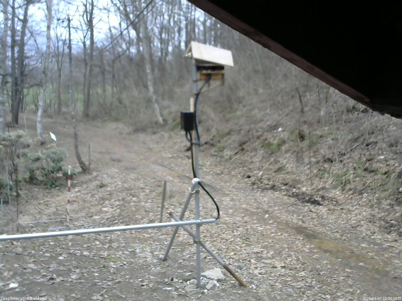 長野県菅平高原 ゆたか山荘 南側 2026/04/07 10:00
