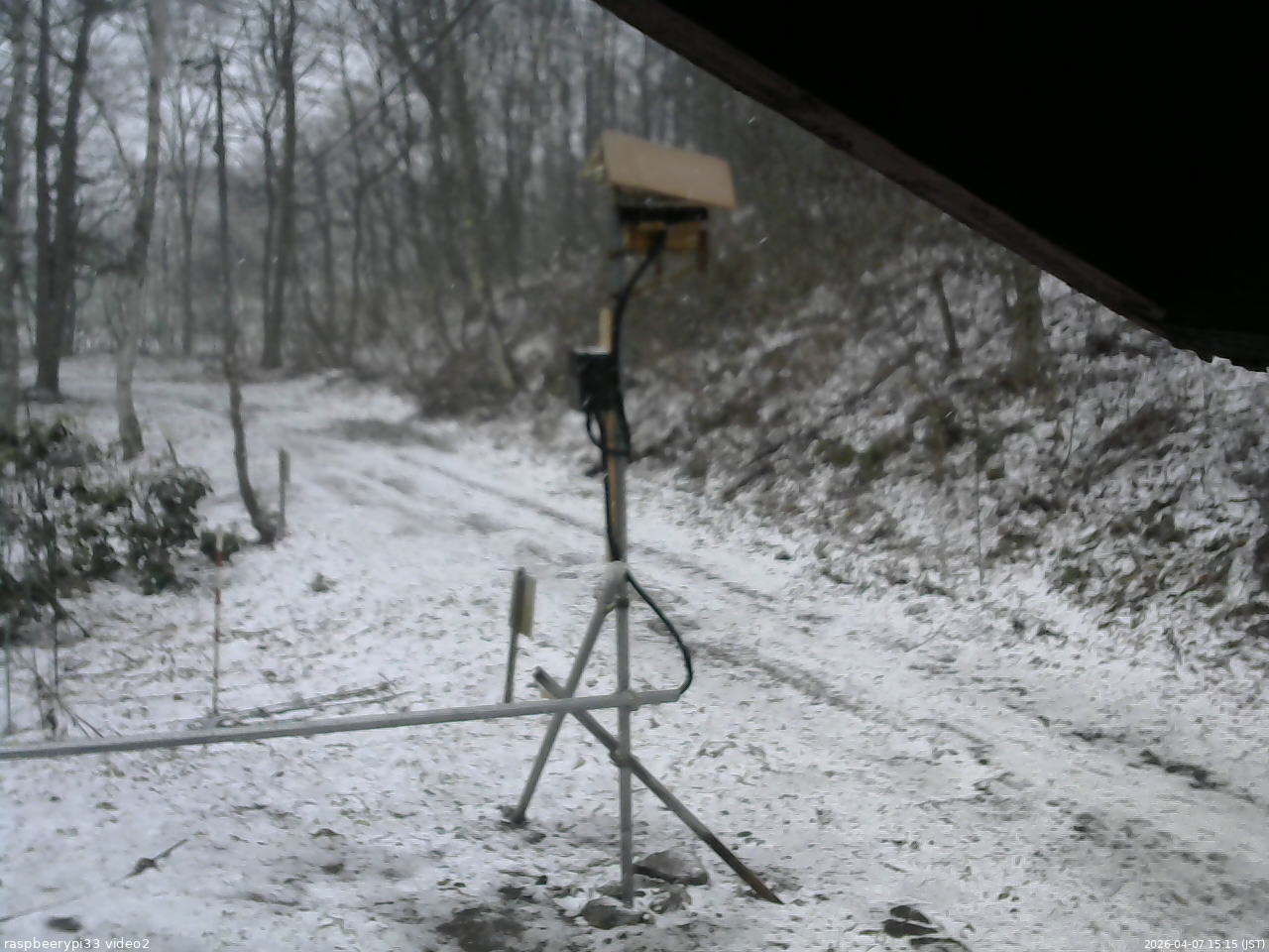長野県菅平高原 ゆたか山荘 南側 2026/04/07 15:15