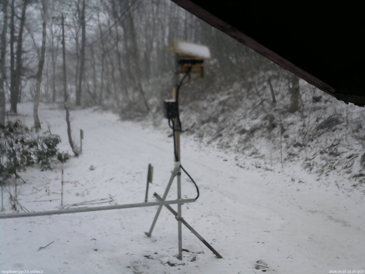 長野県菅平高原 ゆたか山荘 南側 2026/04/07 16:00