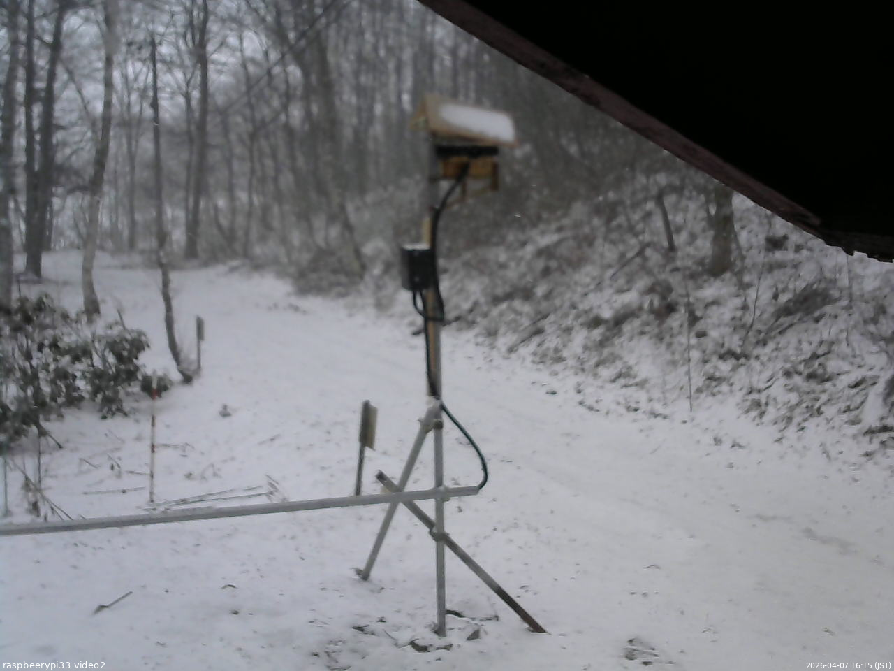 長野県菅平高原 ゆたか山荘 南側 2026/04/07 16:15