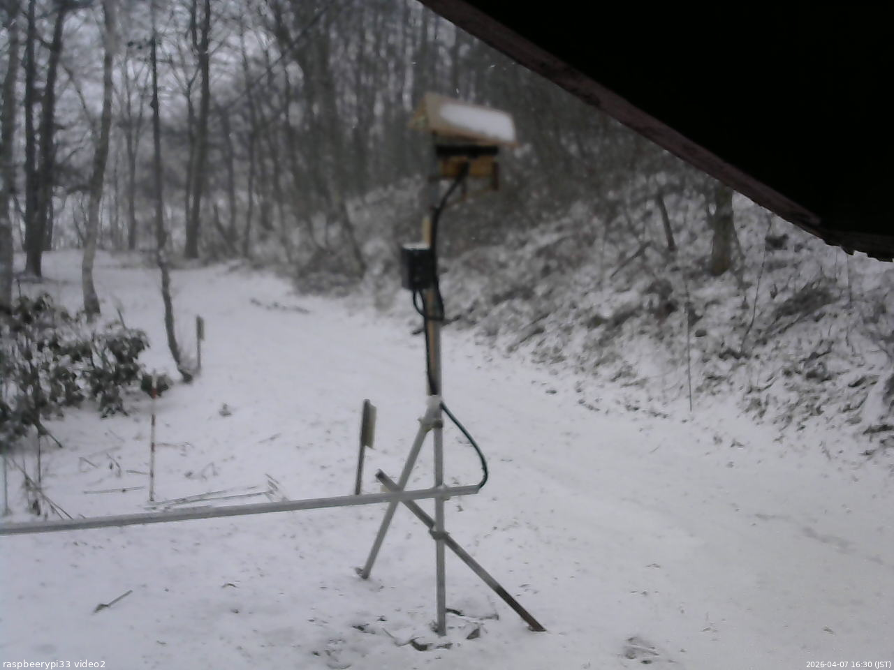 長野県菅平高原 ゆたか山荘 南側 2026/04/07 16:30