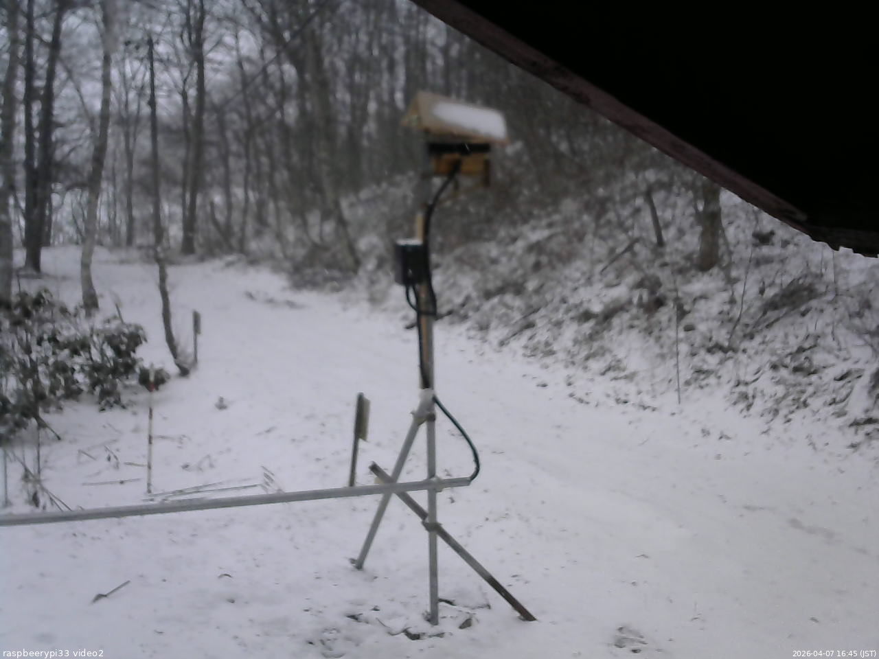 長野県菅平高原 ゆたか山荘 南側 2026/04/07 16:45