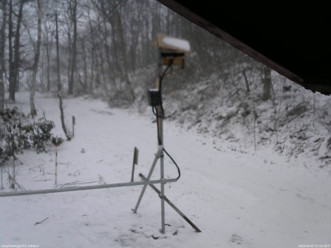 長野県菅平高原 ゆたか山荘 南側 2026/04/07 17:00