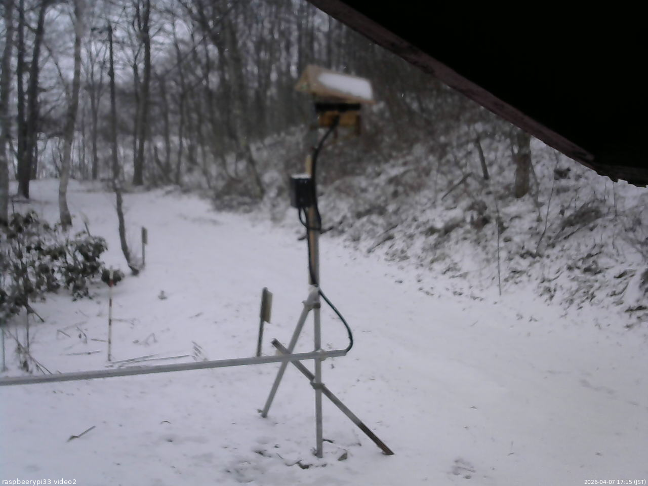 長野県菅平高原 ゆたか山荘 南側 2026/04/07 17:15