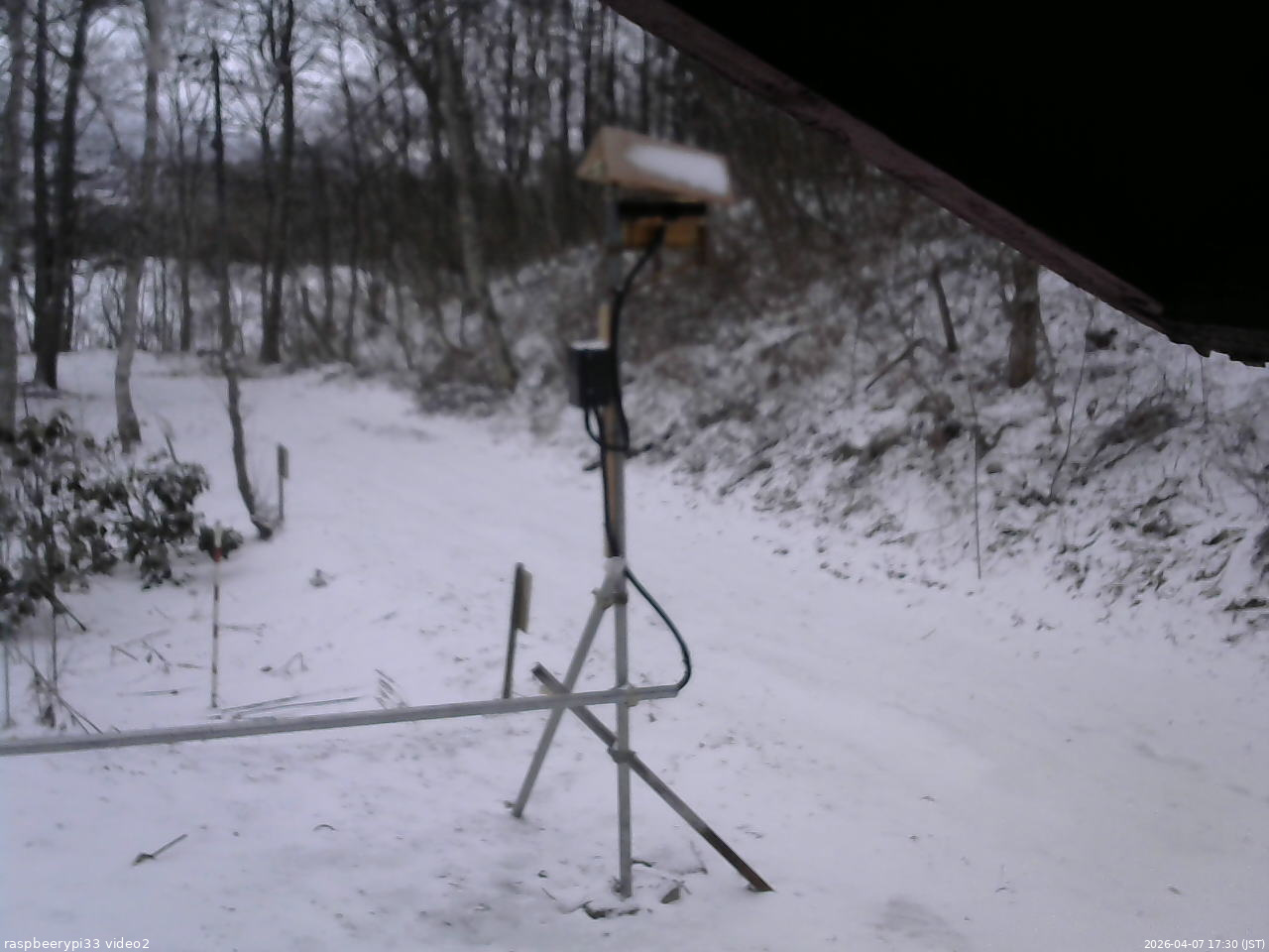 長野県菅平高原 ゆたか山荘 南側 2026/04/07 17:30
