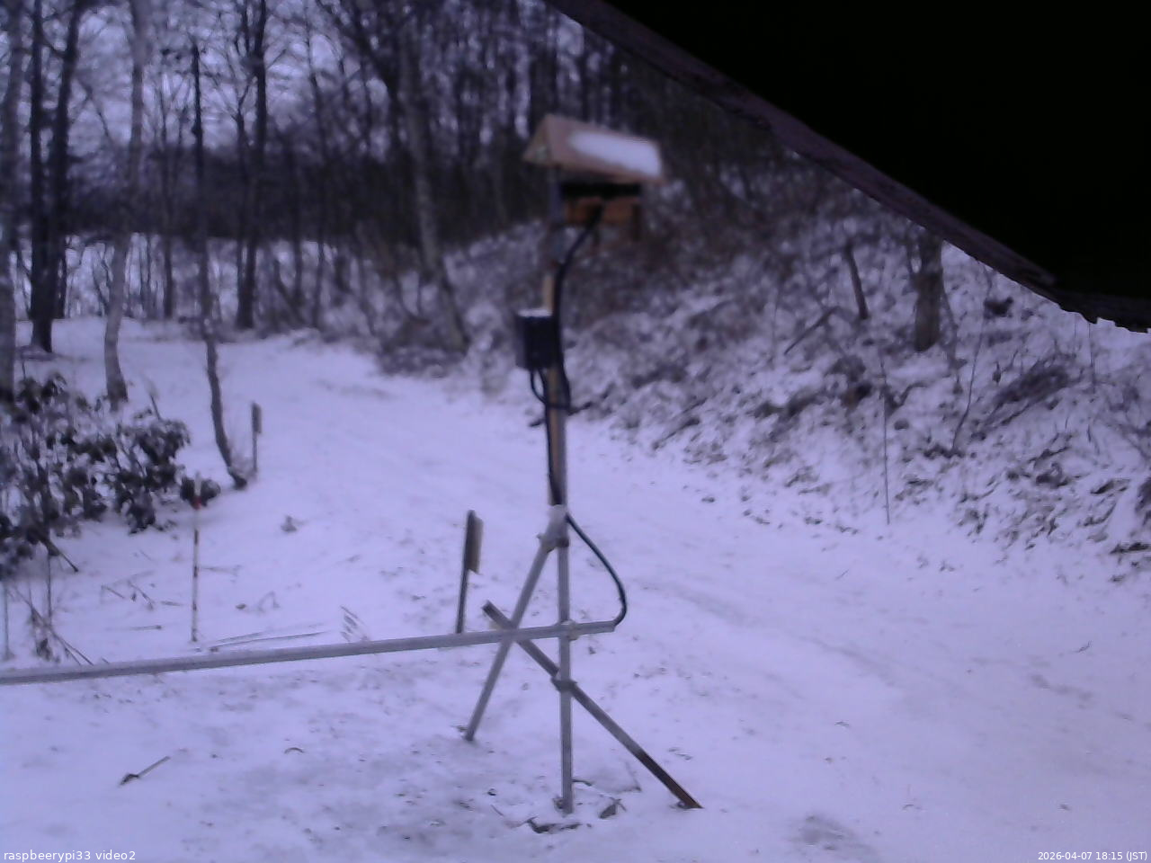 長野県菅平高原 ゆたか山荘 南側 2026/04/07 18:15